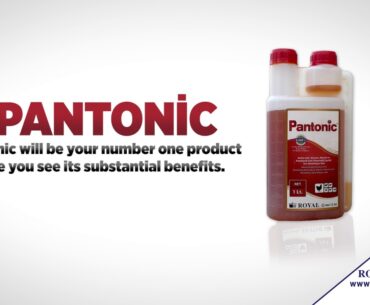 Pantonic : Liquid vitamins, amino acids and nucleotides supplement to boost immune system