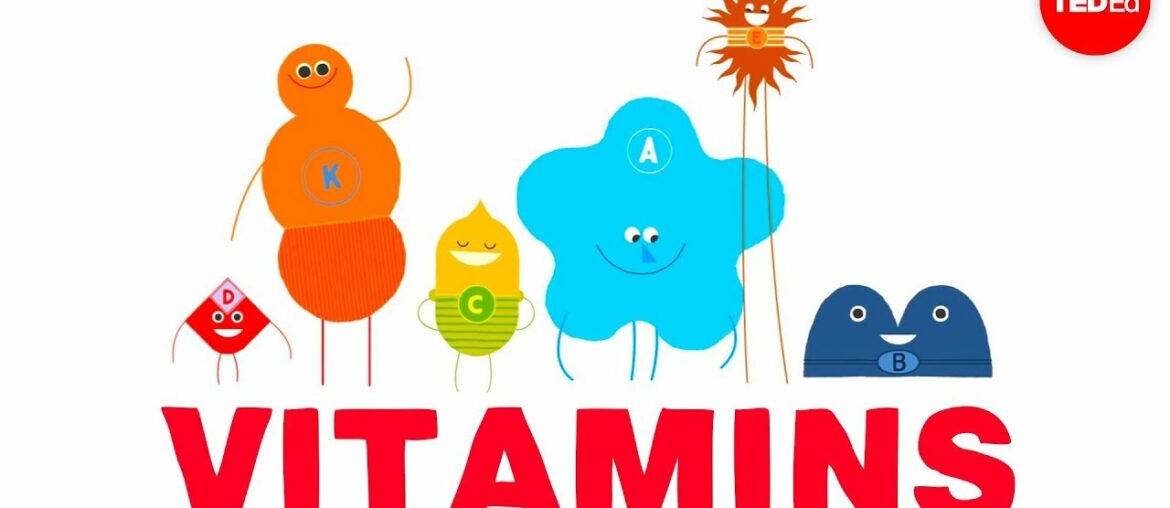 How do vitamins work? - Ginnie Trinh Nguyen