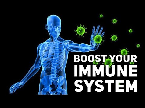 The best supplements to boost your immune system