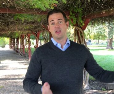 Vitamin D and Your Immune System