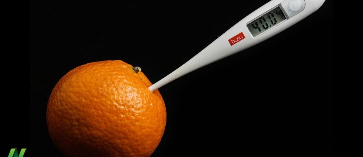 What is the Optimal Vitamin C Intake?