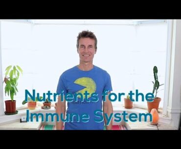 Vitamins and Minerals to Boost the Immune System