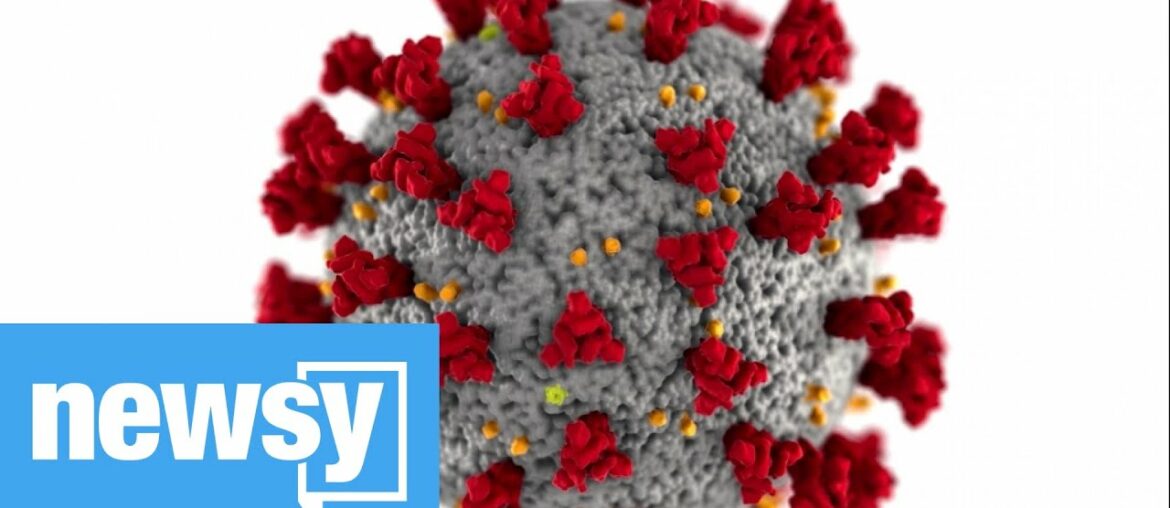 How COVID-19 affects your immune system