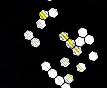 Antiviral Nutrition: Selenium, HPV, CIN1, Vitamin D, Vaccination Effects