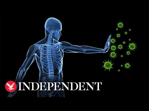 Coronavirus: Can Herd Immunity Help The UK Battle The Outbreak?