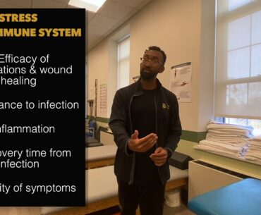 Exercise, Immune Function, and COVID 19