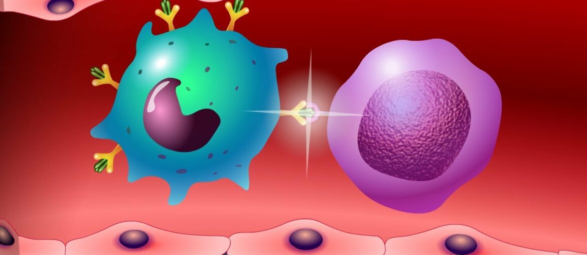Vaccines and the Immune Response: How Vaccines Work