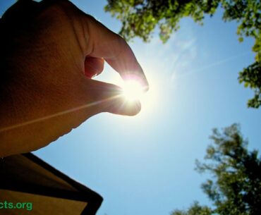 Is Vitamin D3 Better Than D2?