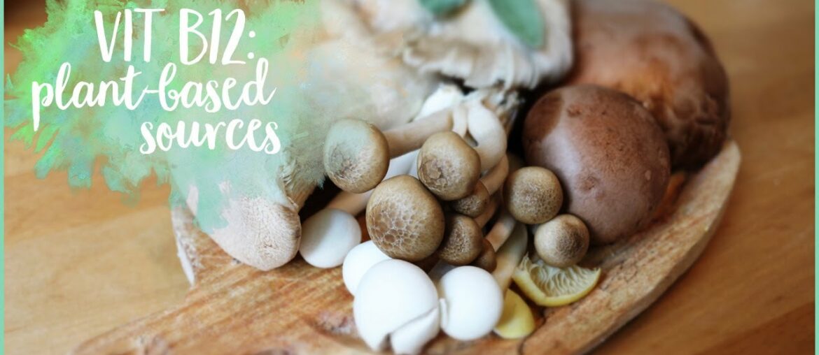 Plant-based vitamin B12 food & sources | Nutrition
