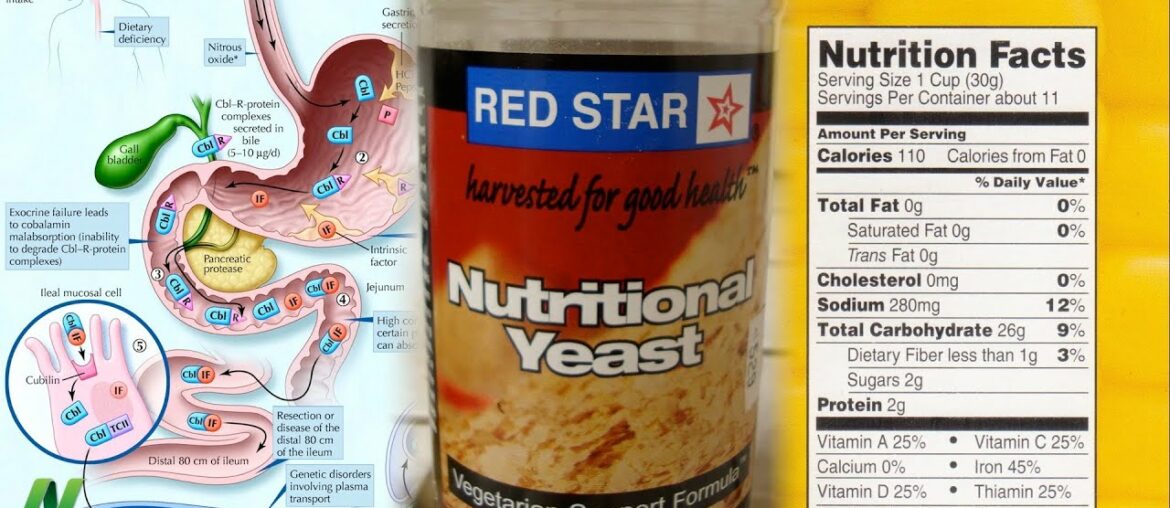 Daily source of vitamin B12