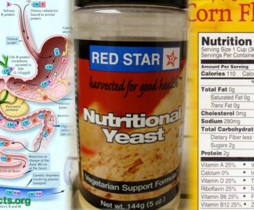 Daily source of vitamin B12