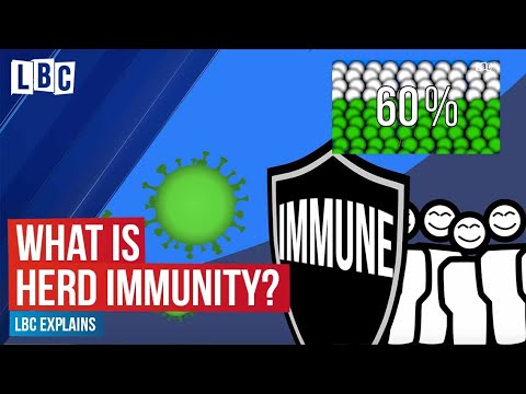 Coronavirus: What is herd immunity? | LBC