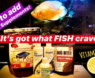 Vitamin Supplements for Your Fish