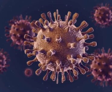 (963Hz) IMMUNE SYSTEM BOOST | Vitamin C Release | Rejuvenation Frequency | Good Health & Vitality