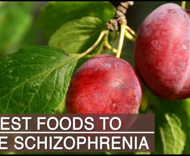 Best Foods to Cure Schizophrenia | Including Vitamin B3, Antioxidants & Omega 3 Rich Foods