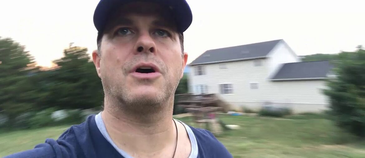 Vitamin C and Supplements for Cane Corso Mastiffs Dogs