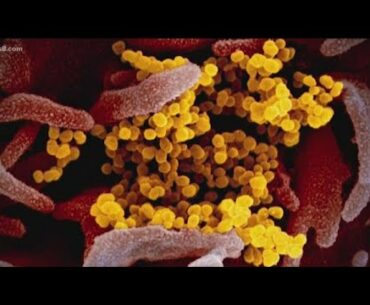 Immunity after recovery from COVID-19?  Yes, but…