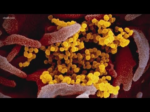 Immunity after recovery from COVID-19?  Yes, but…