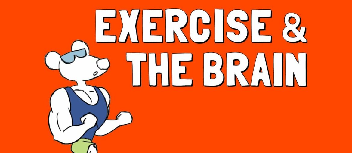 Exercise and the Brain