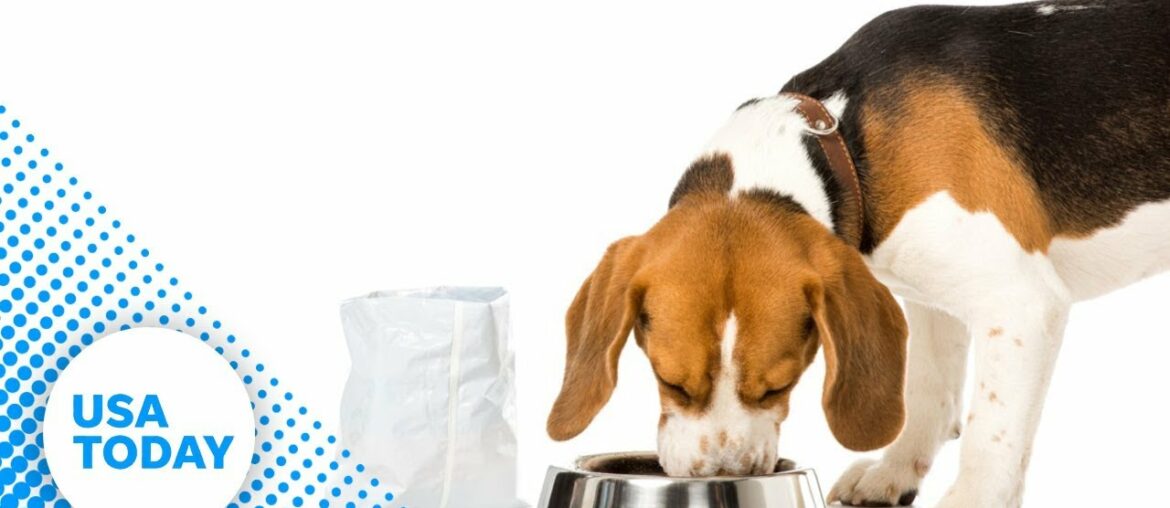 Hill's Pet Nutrition recalls pet food because of toxic vitamin D levels