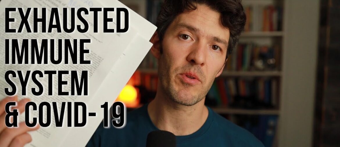 Exhausted Immune System in COVID-19 Subjects: science update