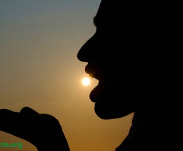 Do Vitamin D Supplements Reduce the Risk of Dying from Cancer?