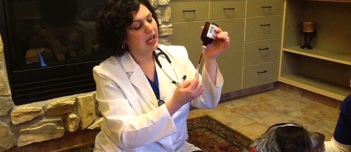 Vitamin B12 Injections by Animal Wellness Center of Maple Grove