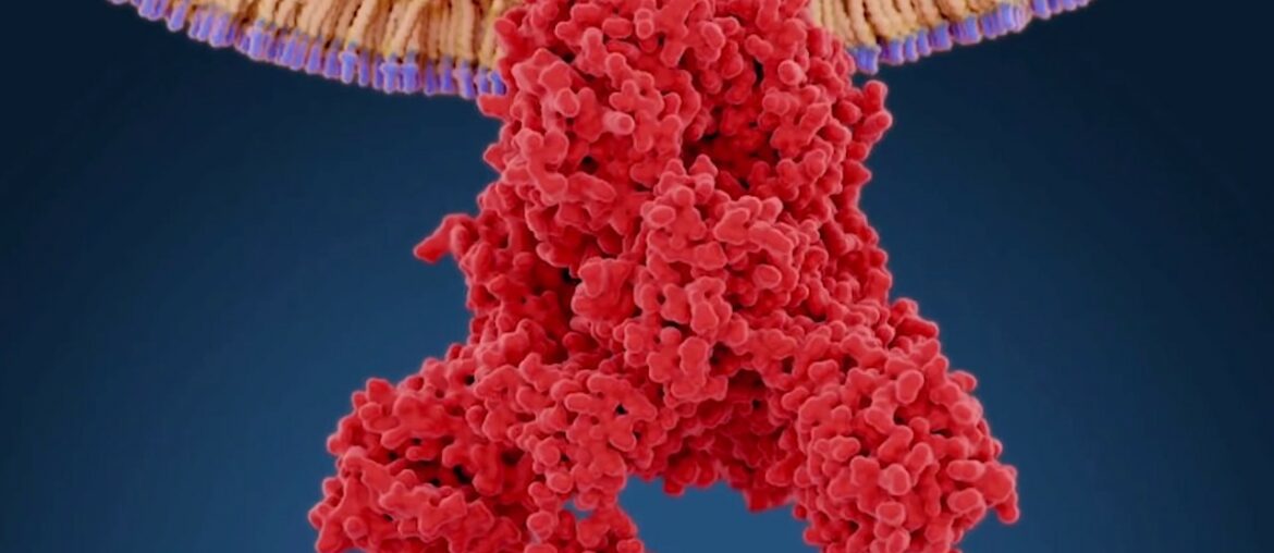 Covid-19 could target immune system by targeting protective cells, warn scientists