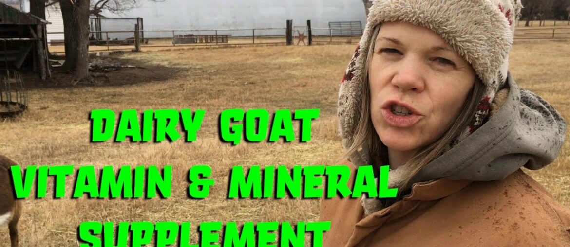 Dairy Goat Vitamin & Mineral Supplement