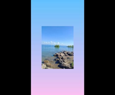 Vitamin A,B Sea⛲ For Immunity💪