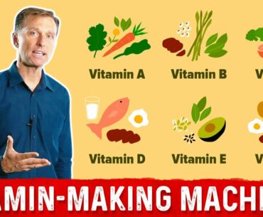 Your Good Bacteria Are Vitamin-Making Machines