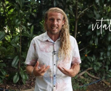 Liposomal Vitamin C - Fortify your immune system in the time of Coronavirus.