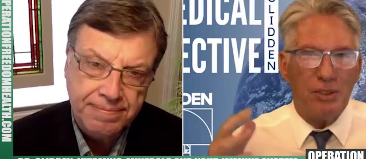 Vitamins, Minerals and Your Immune System