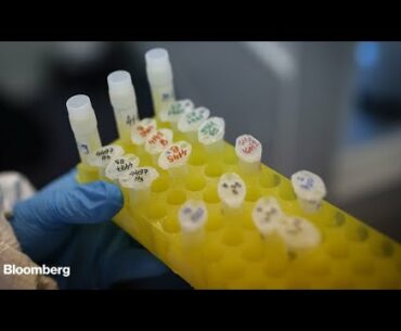 Immune Therapies Showing Promise on Coronavirus: Johns Hopkins