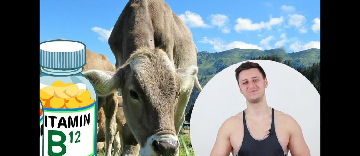 Vitamin B12 - nicht nur für Veganer!