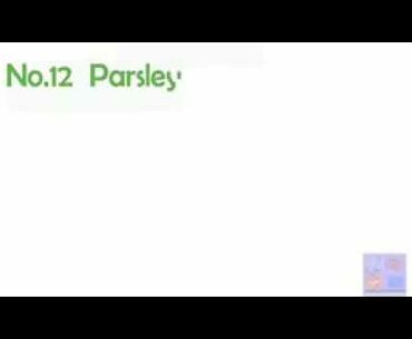 Richest source of vitamin c for enhancing immunity.