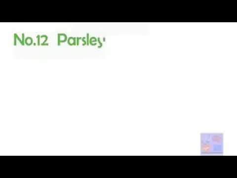 Richest source of vitamin c for enhancing immunity.