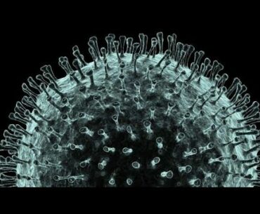 Corona Virus/Covid-19 Vs Vitamin E&C Vs Immune System