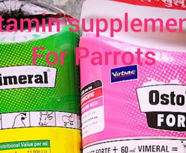 #Vitamins #supplements for sun conure parrot in Tamil