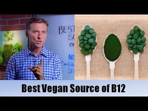 Best Vegan Source of Vitamin B12