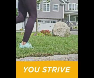 Vitamin C 1000mg Powder (60 Count, Tangerine Flavor, 2 Month Supply), With Antioxidants