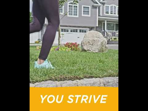 Vitamin C 1000mg Powder (60 Count, Tangerine Flavor, 2 Month Supply), With Antioxidants