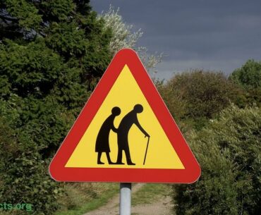 Should Vitamin D Supplements Be Taken to Prevent Falls in the Elderly?