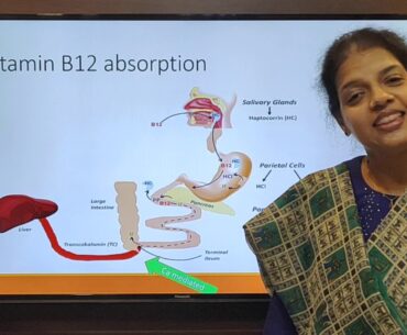 The Metabolic processes of Vitamin B12 Deficiency