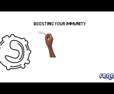 Boost immunity naturally with hibiscus juice.