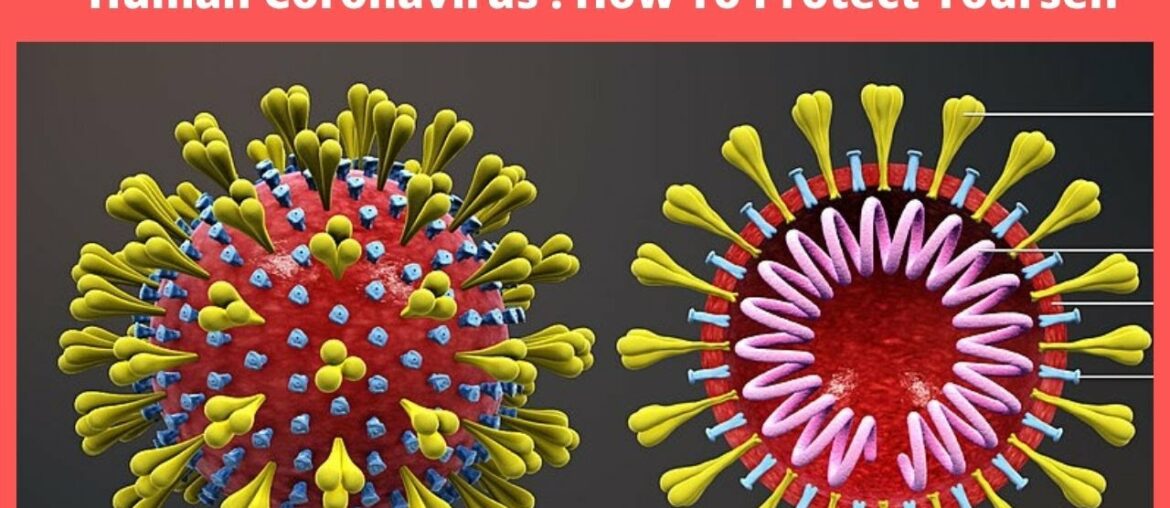 🔴 Coronavirus Health | Strengthen & Boost Your Immune System Against (COVID-19)