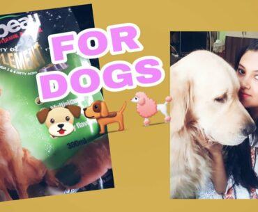 ( Dogs Summer Diet ) My Beau Supplement for Dogs with Vitamins & Minerals