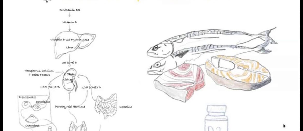 The Importance of Vitamin D