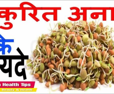 How To Make Sprouts At Home l Benifit Of Sprouts l Right Time to eat Sprouts l Meghna Health Tips