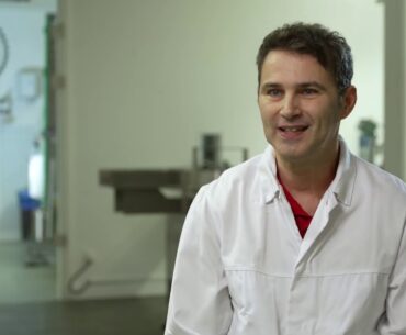 How to strengthen your Immune System with the help of nutritional Supplements